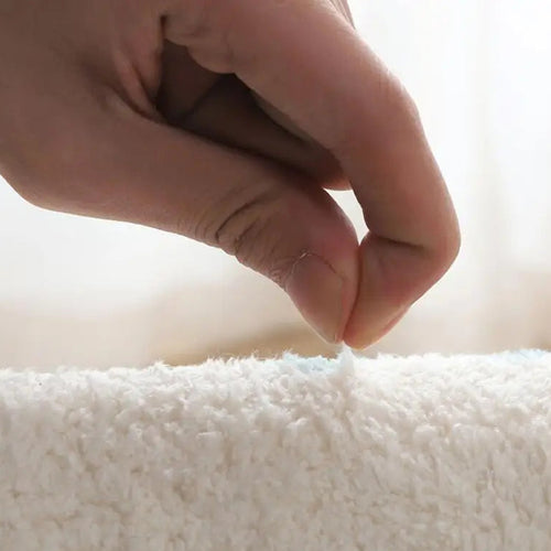 Plush Fleece Carpet | Soft & Cozy Rug for Living Room | Anciennevi