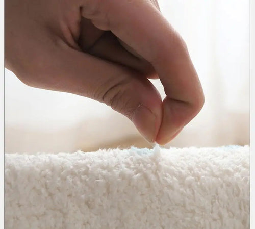 Plush Fleece Carpet | Soft & Cozy Rug for Living Room | Anciennevi