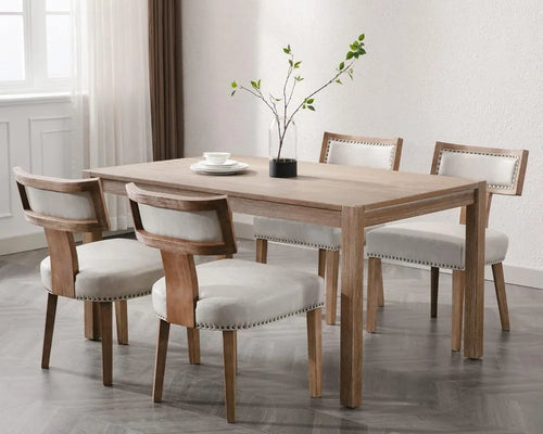 Mid Century Modern Dining Chairs Set of 4 Online | Anciennevi