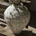 Koi Rough Pottery Jar Handmade | Unique Pottery Decor | Anciennevi